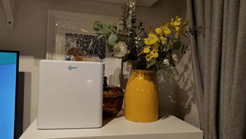 What is Continuous Flow Portable Oxygen Concentrator?