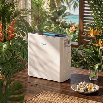 oxygen concentrator machines