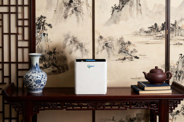 oxygen concentrator noise