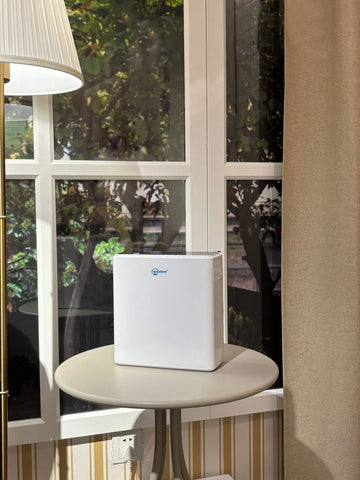 portable oxygen concentrator for sale
