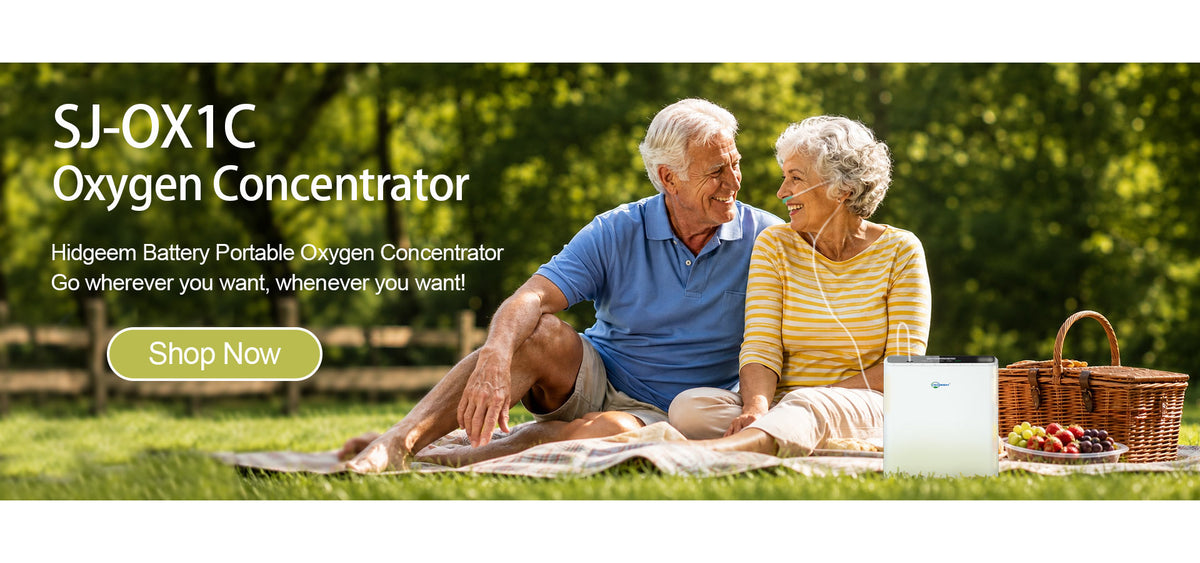 portable o2 concentrator