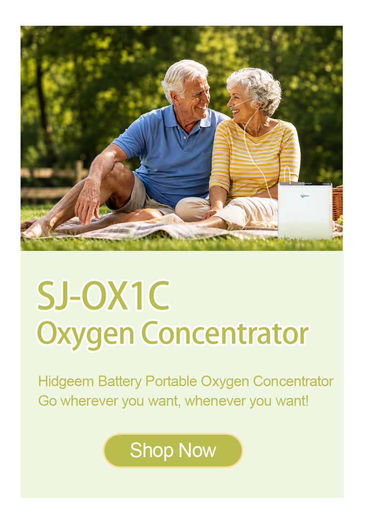 portable o2 concentrator